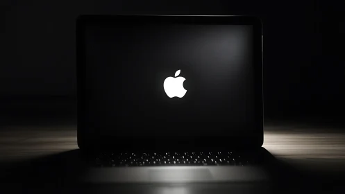Minimalist laptop logo in low key product photography setup.