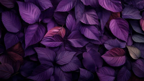 Purple foliage surface with layered overlapping leaves pattern.