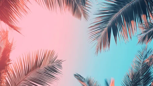Neon tropical palm leaves against pink and cyan gradient sky.