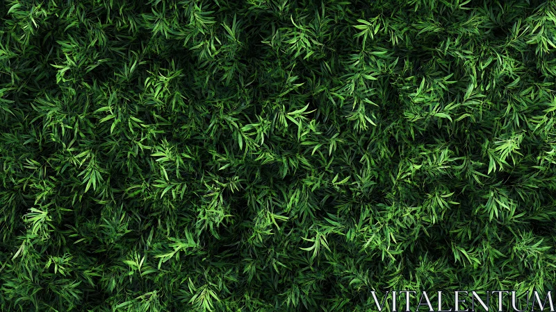 Dense overhead view of layered green foliage texture surface.