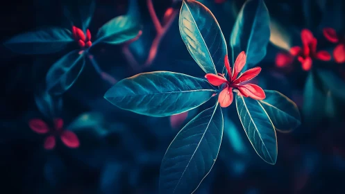 Vibrant teal leaves cradle glowing red buds in moody light