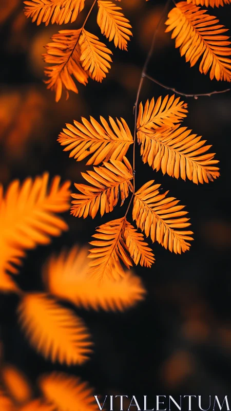 Selective focus isolates vivid orange compound autumn leaves