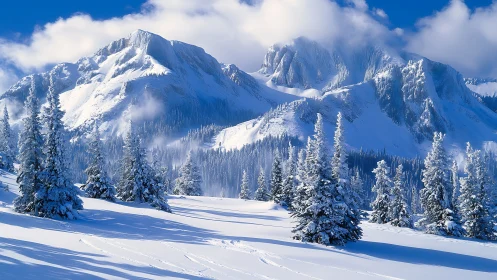 Snow-covered conifer forest extends below rugged mountain ridge