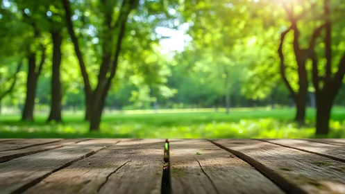 Wooden Deck Overlooks Sunlit Park Canopy.