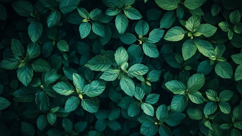 Dense green foliage pattern with layered oval leaves.