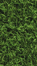 Emerald grass labyrinth weaves a wild tapestry of blades.