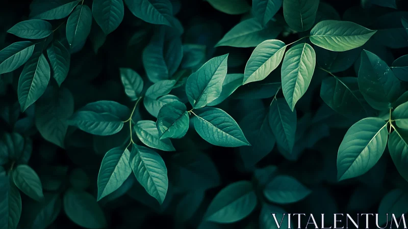 Moody teal foliage pattern with overlapping leaves in shade.