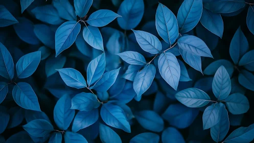Monochromatic blue foliage matrix under soft diffuse lighting.