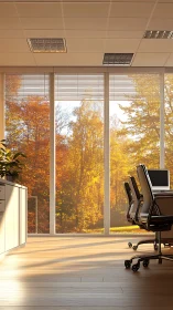 Golden autumn sunlight gently brightens a peaceful office