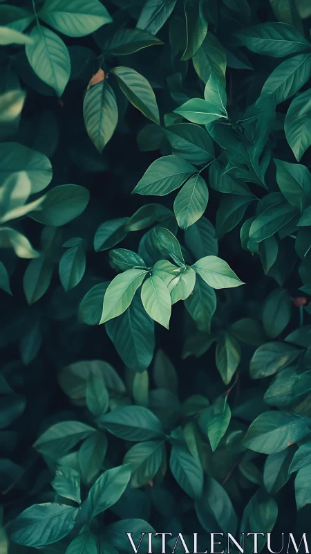 Emerald hush of layered leaves in a twilight garden dream.