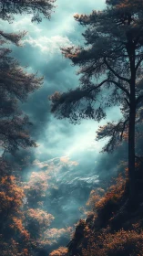 Coniferous Forest Valley with Atmospheric Light Diffusion and Stratified Cloud Coverage