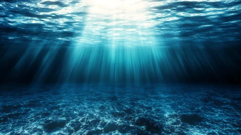 Sunlit ocean depths with radiant volumetric light beams.