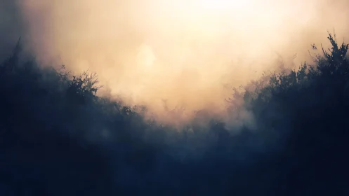 Misty valley glows beneath a soft, ethereal sunrise sky.