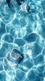 Sunlit water surface with submerged rocks and light refraction.