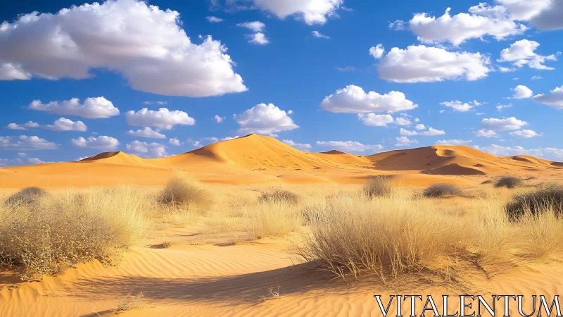 Sunlit desert dunes with textured grasses under vivid sky.