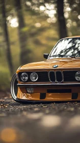 Low-slung classic BMW coupe with bokeh woodland backdrop.