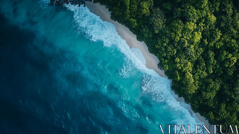 Coastal Paradise Where Ocean Meets Ancient Forest.