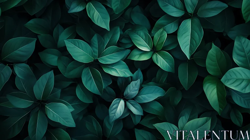 Midnight garden leaves weaving a luminous emerald hush.