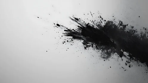 Ink comet explodes across silence of a pale horizon.