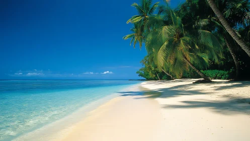 Tropical Paradise Awaits at This Pristine Beach