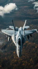 Strike fighter jet cuts through autumn forest haze at speed.