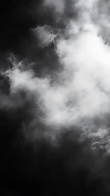 Volumetric grayscale vapor plumes in high-contrast gradient field.