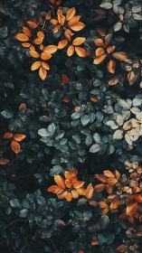 Copper leaves emerging through deep teal foliage pattern.