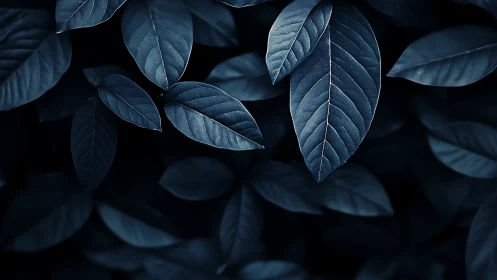 Monochrome leaves form overlapping pattern in soft focus