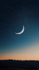 Curved crescent moon over dusk forest horizon skyfield.