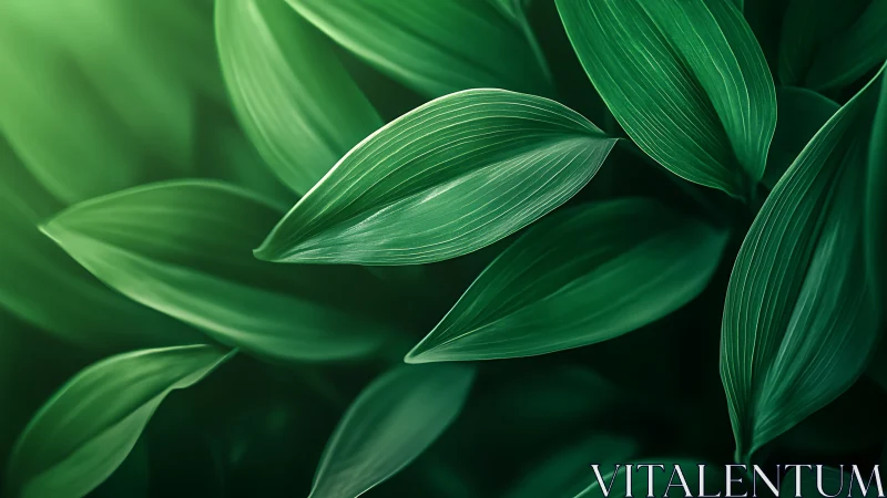 Gentle green leaves drifting through quiet morning light.