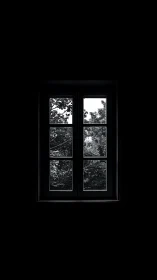 Framed monochrome foliage viewed through a central window