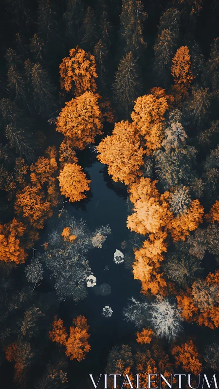 Aerial Forest Watershed: Autumn Color Contrast.