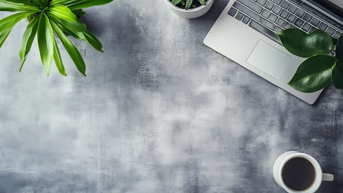 Laptop, coffee and green plants on gray concrete desk.