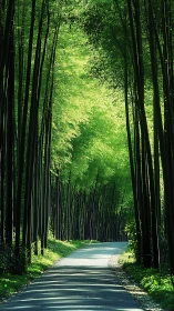 Symmetric Bamboo Grove Corridor: Linear Perspective Convergence Study.