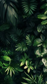 Lush jungle leaves creating a calm green hideaway.