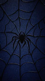 Radial spider silhouette within textured midnight web pattern.