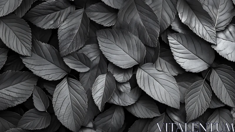 Quiet silver leaves overlap in a calm, textured pattern