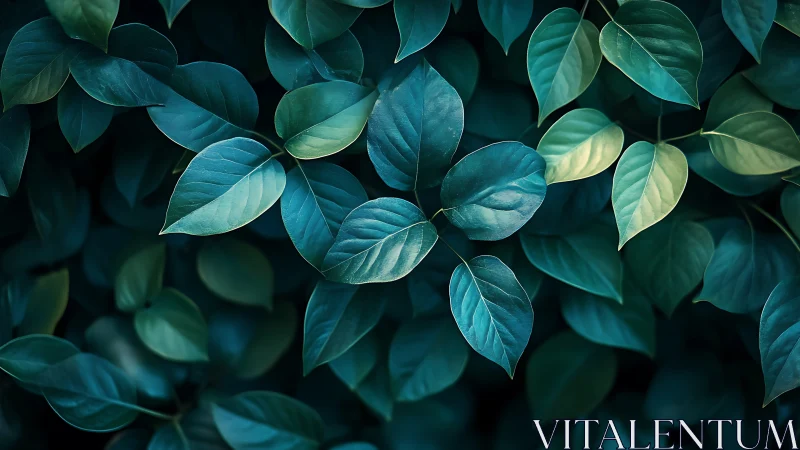 Overhead view of dense foliage with teal-toned leaves.