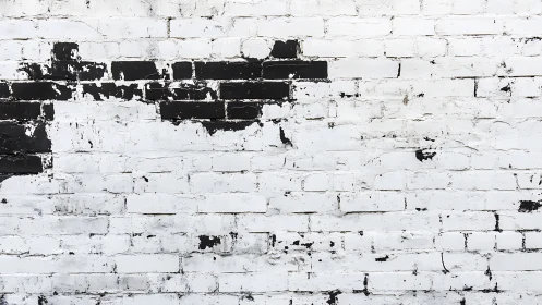 Weathered monochrome brick wall humming with quiet tension.