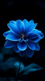 Luminescent Blue Flower on Dark Background.