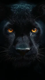 Black panther's golden gaze pierces darkness.