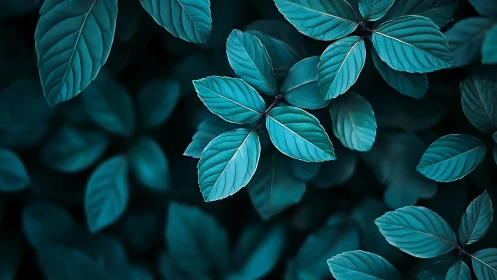 Teal foliage pattern under soft diffused light perspective.