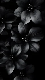 Monochromatic flower specimens arranged in layered composition against dark background.