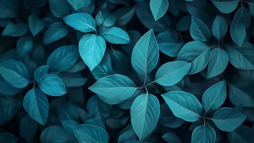 Teal foliage glows softly in a tranquil botanical close-up.
