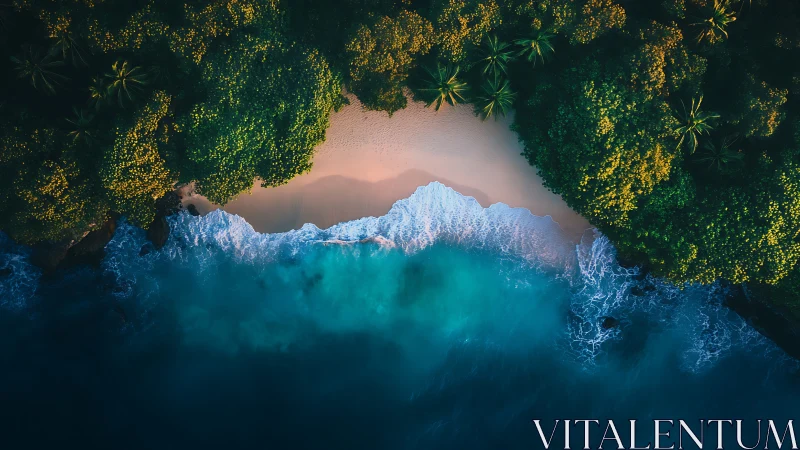 Aerial view reveals coastal landscape with dense vegetation framing turquoise water.