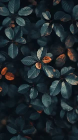 Midnight leaves with ember-kissed edges in quiet glow.