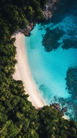 Turquoise Paradise: Where Forest Meets Dream Beach.