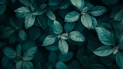 Moody teal foliage creates a calm, contemplative atmosphere