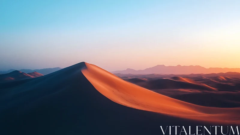 Sunlit sand dune ridge curves through desert at sunrise