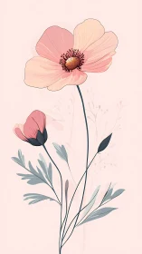 Botanical illustration of delicate cosmos flower with layered petals and foliage.